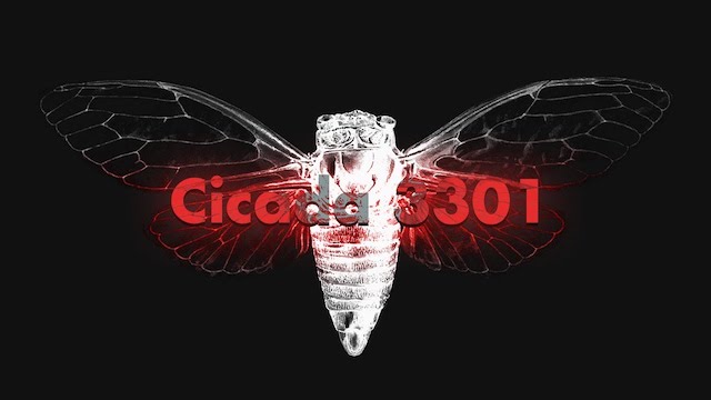 cicada 3301